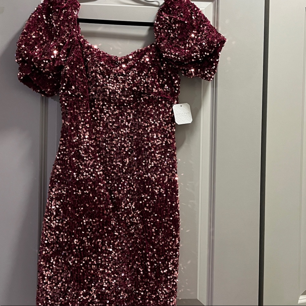 NWT Altar’d State Sparkling Burgundy Dress
